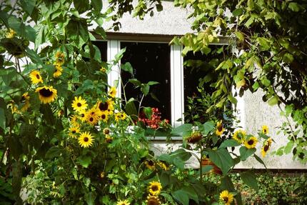 TaunusPerle: 2,5-Zi.-EG-Terrassenwhg. barrierefrei m. IndoorPool - Niedernhausen