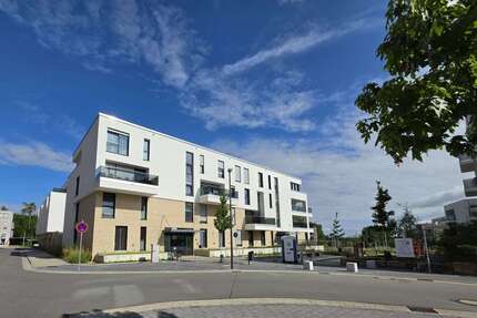 Wohnung zum Kaufen in Wolfsburg 493.000,00 € 139 m²