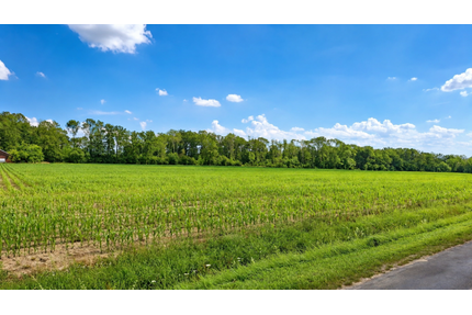 landwirtschaftliche Ackerfläche in Beckum zu verkaufen