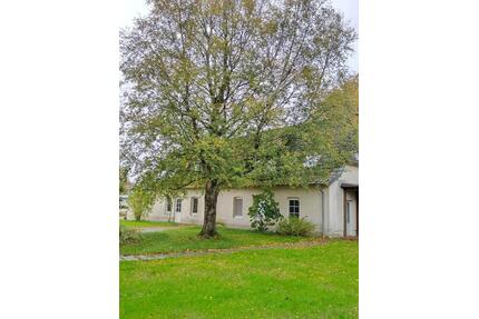 Großzügige 5-Zimmer-Wohnung mit Garten und vielen Extras - Großenwiehe