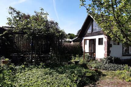 Ein wunderschöner Garten ist zu vergeben. - Hannover Buchholz-Kleefeld