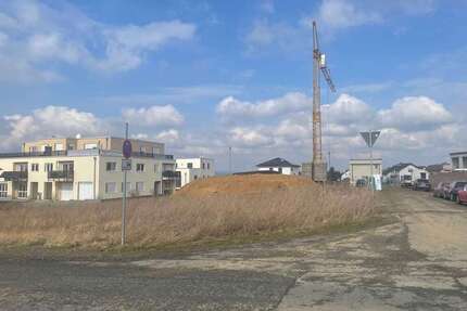 Grundstück zu verkaufen in Ilbenstadt 250.000,00 € 733 m²