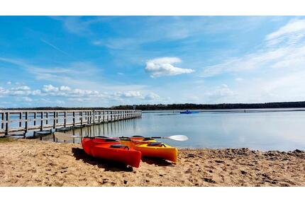Urlaub mit Hund: Zauberhafte Reetkaten an der Ostsee, Ferienhaus mit eingezäunten Garten, Ferienwohnung, Fehmarn Heiligenhafen Großenbrode Grömitz Kellenhusen, Schleswig Holstein, auch Last Minute - Heringsdorf