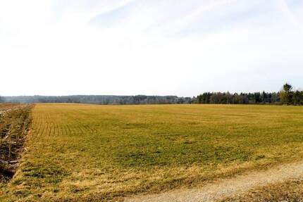 LANDWIRTSCHAFTLICHE WIESENFLÄCHE in IDYLLISCHER LAGE nahe LECH! GEMARKUND MUNDRACHINGGEMEINDE VILGERTSHOFEN