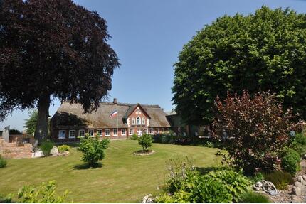 Bauernhaus unter Reet mit Außensalzwasserpool, Sauna und Garten - Husby