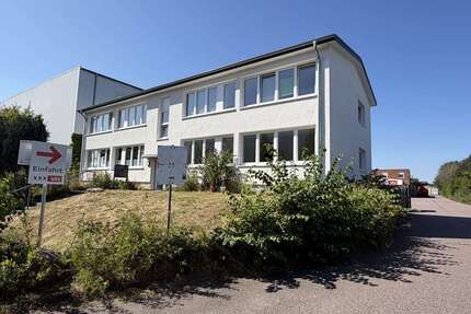 Wohnung zum Mieten in Flensburg 750,00 € 70 m²