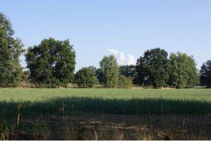 Neue Baugrundstücke in der Waldparksiedlung Gallinchen - Cottbus