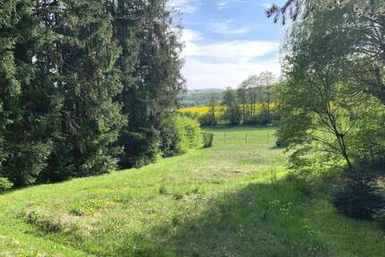 Grundstück zu verkaufen in Neu-Anspach 300.000,00 € 1300 m²