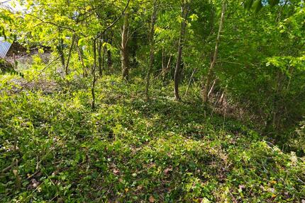 Gartengrundstück in Heidelberg Handschuhsheim