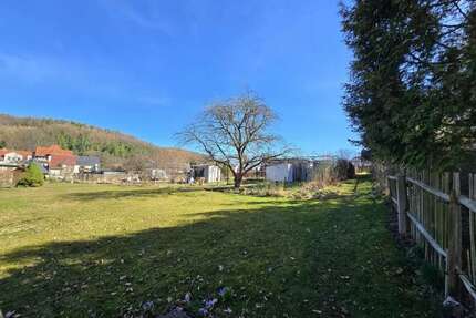Grundstück zu verkaufen in Lichtenstein 171.000,00 € 3793 m²