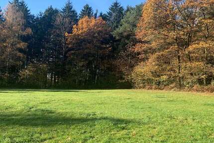 Grundstück zu verkaufen in Böbrach 239.000,00 € 8555 m²