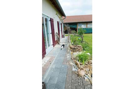 Haus Garten BJ14, Stall Tierhaltung Ortsrandlage Pferde 1877qm - Höttingen
