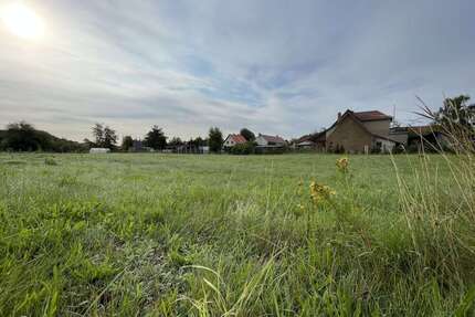 Grundstück zu verkaufen in RothenburgOberlausitz 37.000,00 € 2324 m² - Rothenburg/Oberlausitz