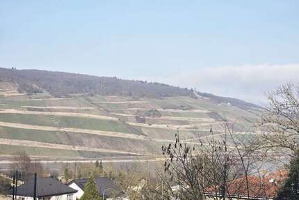 Wohnung zum Kaufen in Bingen 297.000,00 € 116 m²