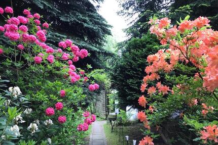 Einfamilienhaus mit 6 Zimmern in ruhiger, idyllischer Lage - Herrnhut
