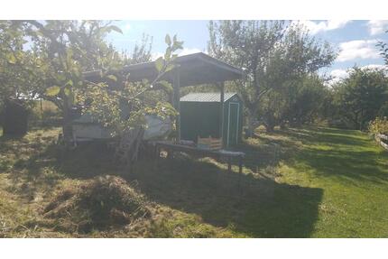 grosse OBSTBAUMWIESE, 2900qm, in Horb-Nordstetten - Horb am Neckar