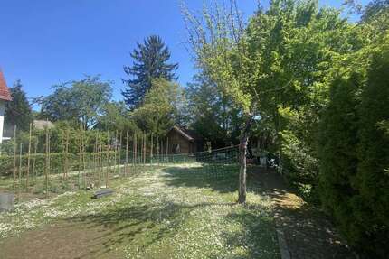 Grundstück zu verkaufen in München 969.500,00 € 485 m²