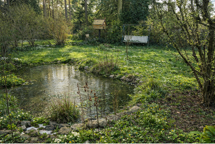 Grundstück zu verkaufen in Basdorf 249.500,00 € 1085 m²
