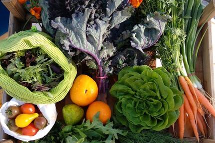 Kleingarten Gemüsegarten Garten Selbstversorger Gemüse Acker - Königswinter