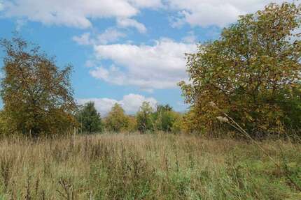 Grundstück zu verkaufen in Forchheim 300.000,00 € 506.3 m²