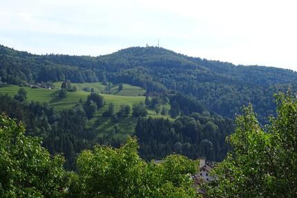 Urlaub im Schwarzwald ! Ferienwohnung in ruhiger Lage !! - Zell im Wiesental
