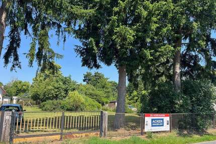 Wunderschönes Baugrundstück in Zeesen