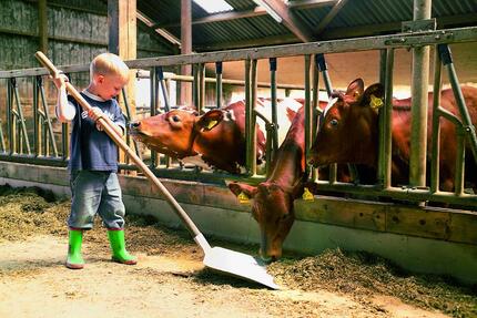 Urlaub auf dem BauernhofOstseeSauna 6.6.-20.6.2026 - Kappeln