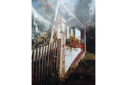 Pachtgarten - 700,00&nbsp;EUR Kaltmiete, ca.&nbsp; 0,00&nbsp;m&sup2; in Langenwetzendorf (PLZ: 07957)