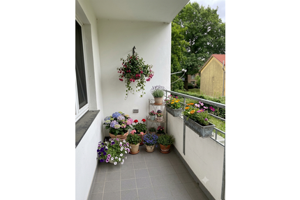 Wohnung zum Kaufen in LauenburgElbe 99.000,00 € 55 m² - Lauenburg/Elbe