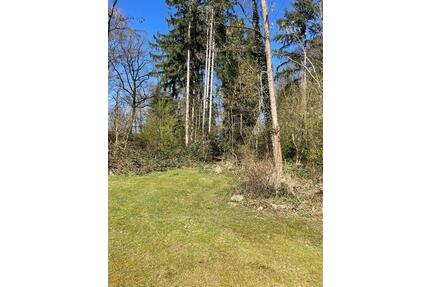 Deutsch Evern, wunderschönes Waldgrundstück in Top Lage - Barendorf