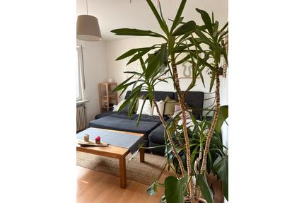 Attraktive 2-Zimmer-Wohnung mit eigenem Eingang in Niedervellmar