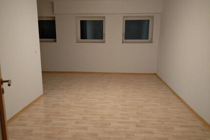 Renovierte große Wohnung in Zeulenroda frei! - Zeulenroda-Triebes