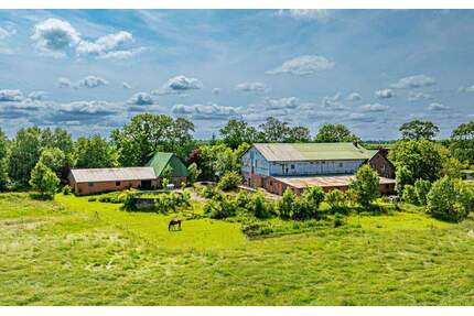 Resthof bei Wilster - Viel Platz für Mensch und Tier - Neuendorf-Sachsenbande / Sachsenbande
