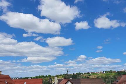 Sanierte 3-Zimmer-Wohnung mit EBK- WGStudenten Willkommen - Stuttgart Bad Cannstatt