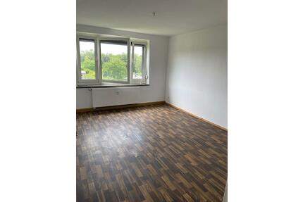 Helle 3 Zi. Wohnung (60qm) mit Blick ins Grüne - Rochlitz