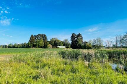 Haus mit Grundstück in mitten Natur, nähe Bodensee am Weiher - Immenstaad am Bodensee