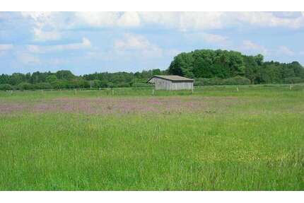 Grundstück in Wald-Michelbach OT Ober Schönmattenwag 140.000,00 € 93881 m²