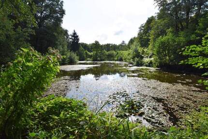Rausdorf - 3 Fischteiche auf großem Freizeitgrundstück mit Holzhaus in naturnaher, ruhiger Lage