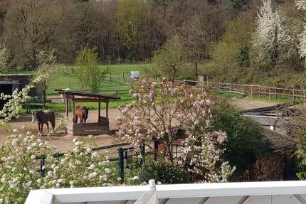 Barrierefreie 4-Zimmer-Wohnung mit Sonnenbalkon & Treppenlift - Dreieich