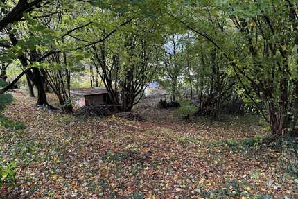 Grundstück zu verkaufen in Rinteln 80.000,00 € 950 m²