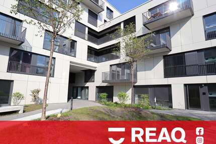 Wohnung zum Mieten in Aachen 1.020,60 € 68.04 m²