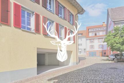 Whg. Nr. 3 Neu renoviert & barrierefrei! Moderne 3 Zimmer Wohnung im Herzen von Tiengen zu vermieten - Waldshut-Tiengen