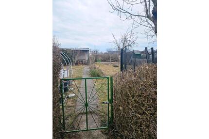 Garten in Bad Freienwalde abzugeben - Berlin Lichtenberg