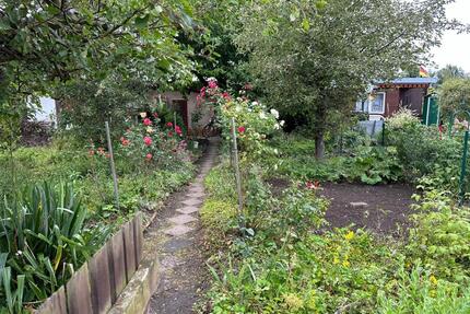 Romantischer Kleingarten in Gohlis-Nord abzugeben - Leipzig
