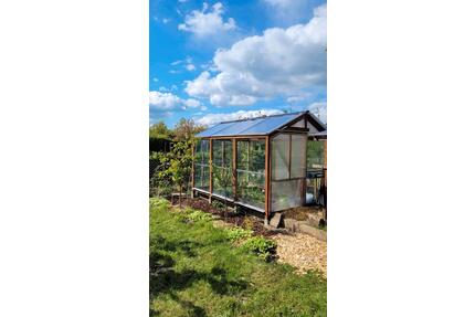 Kleingarten Schrebergarten in Halle Ost mit tollem GEWÄCHSHAUS - Halle (Saale) Am Wasserturm/Thaerviertel