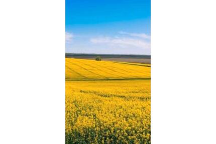 2-Raum-Wohnung saniert und möbliert - Klütz