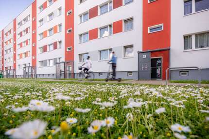 Wohnung zum Mieten in Magdeburg 394,17 € 56.31 m²