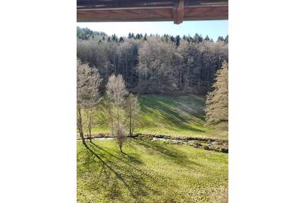 Voll möbliert - Entspannen, wann immer Sie möchten - Bad Herrenalb