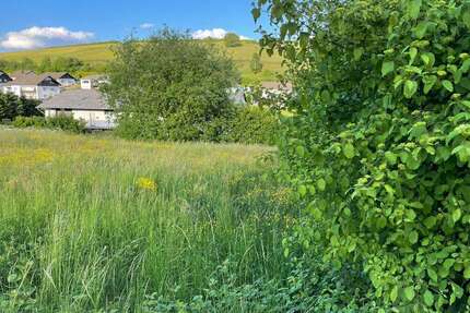 Grundstück zu verkaufen in Burbach 50.000,00 € 1100 m²