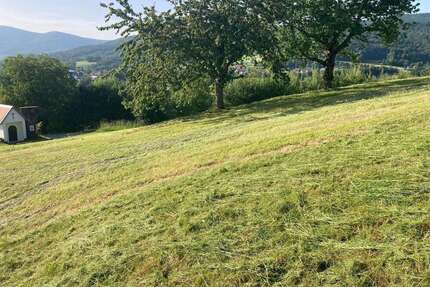 Grundstück zu verkaufen in Hunding 275.000,00 € 2806 m²